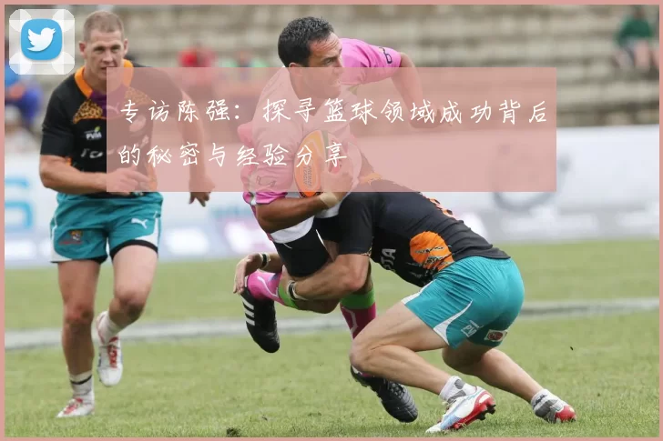 专访陈强：探寻篮球领域成功背后的秘密与经验分享