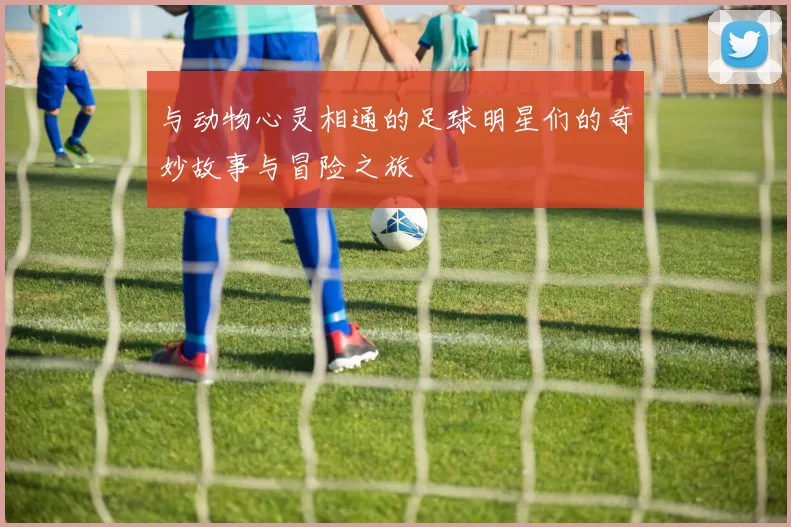 与动物心灵相通的足球明星们的奇妙故事与冒险之旅