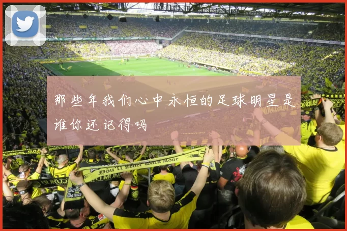 那些年我们心中永恒的足球明星是谁你还记得吗