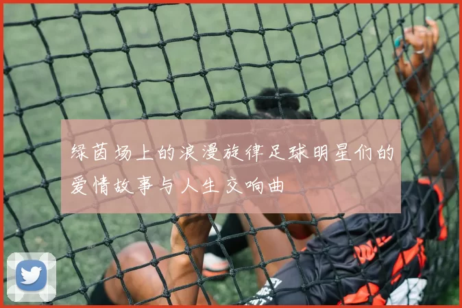 绿茵场上的浪漫旋律足球明星们的爱情故事与人生交响曲